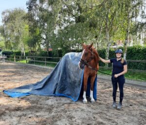 Schrik en Obstakeltraining